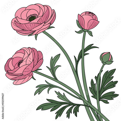Leaf Waltz, Green Pulse, Calm Blooming, Soft Impression, Graceful Bloom, Bend in Light, Earthy Petals, Lines of Nature, Blush Flow, Airy Bloom