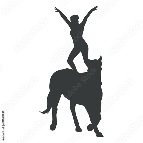 Girl doint vaulting stunt on horse