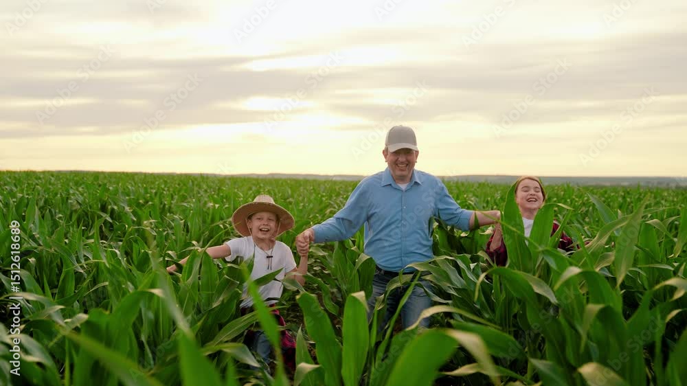 Family values, dad children running together hand in hand on corn plantation. Farmer father little daughter, son playing on corn field. Dad farmer, children running on corn field. Business Agriculture Family values, dad children running together hand in hand on corn plantation. Farmer father little daughter, son playing on corn field. Dad farmer, children running on corn field. Business Agriculture