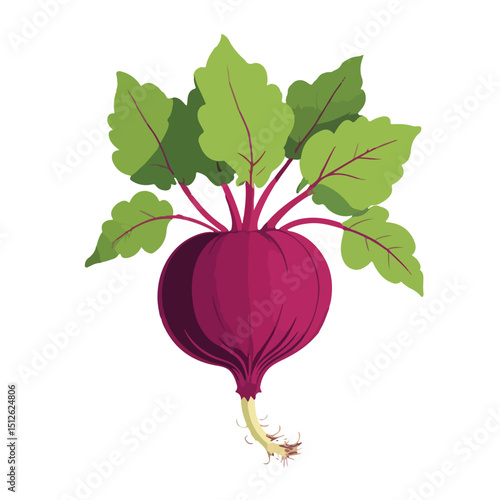 one beetroot with deep purple body and green leafy top