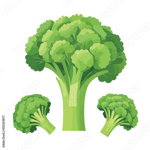 Flat Green Broccoli Vector