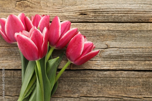 Beautiful tulips on wooden background, top view. Space for text