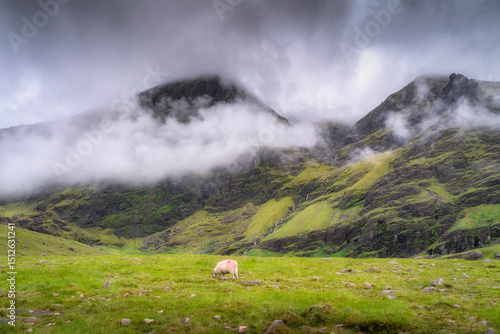 A beautiful and serene Carrauntoohil mountain landscape adorned with lush green hills and dramatic clouds, showcasing a lone sheep peacefully grazing in the tranquility of nature, Kerry, Ireland
