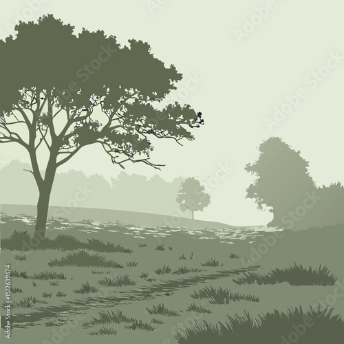 tree in the foggy forest vector background 