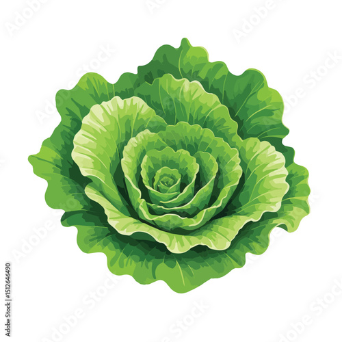 Lettuce Leaf Icon 
