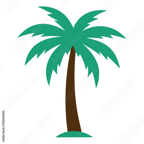 palm tree vector illustration