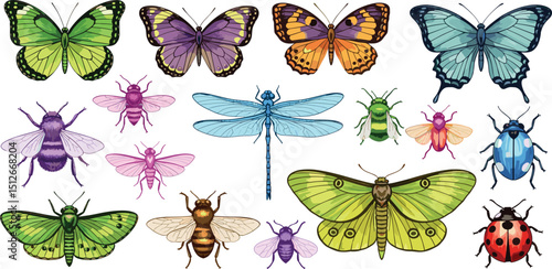 Butterfly and cute crayon insect. Bee, bug, ladybug, fly doodle vector. Cute crayon summer spring animal. Rainbow cartoon garden insect. Butterfly illustration. Chalk pastel beetle, bee, dragonfly bg