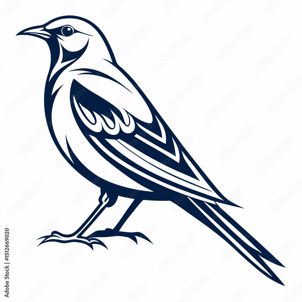 Obraz premium Bird Vector 