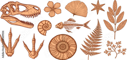  Fossil vector. Archeologic fossil dig set. Dinosaur dino foot, sea animal, fish skeleton, plant, shell. Ancient sand stone. Evolution rock prehistoric art. Paleontology, history limestone watercolor