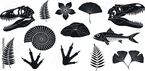Fossil vector. Archeologic fossil dig set. Dinosaur dino foot, sea animal, fish skeleton, plant, shell. Ancient stone. Evolution rock prehistoric art. Paleontology, history vintage black silhouette.