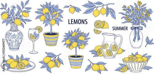  Lemon line vector. Italian hand drawn summer lemon fruit. Line doodle citrus. Sketch tree branch, mediterranean vase, lemonade limoncello. Amalfi Italy coast. Vintage illustration icon set. Italian b