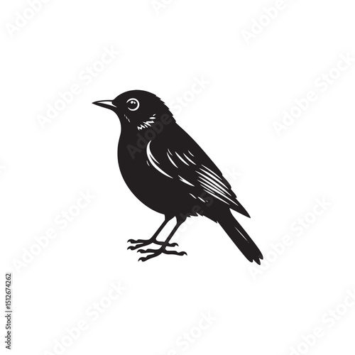 **"Elegant Common Blackbird Vector Silhouette: Classic Songbird Design Featuring Sleek Profile, Upright Posture, and Distinctive Beak in Clean, Minimalist Style for Crafts and Digital Art"**
