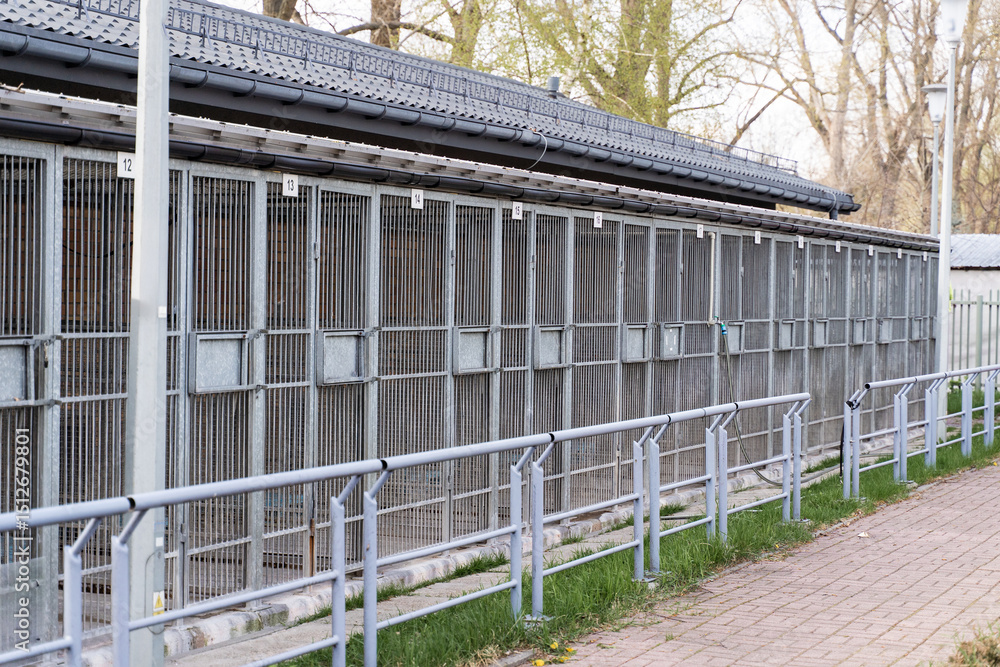 Obraz premium Exterior view of animal shelter kennels showing multiple metal cages. Dog rescue facility with numbered outdoor kennels and fencing. Animal shelter with caged kennels for stray and rescue dogs.