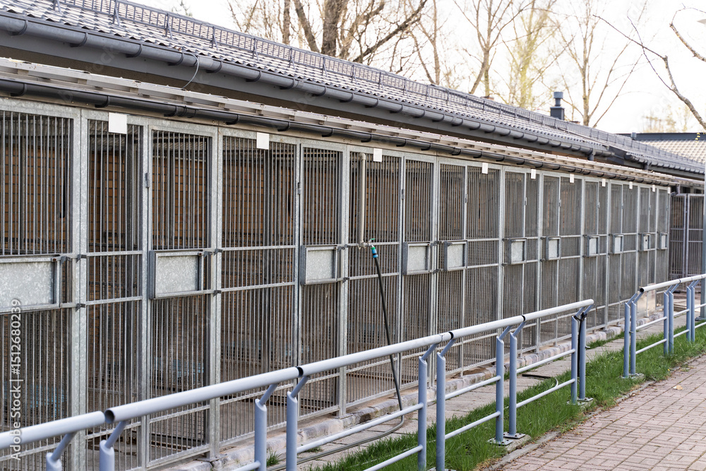 Obraz premium Dog rescue facility with numbered outdoor kennels and fencing. Animal shelter with caged kennels for stray and rescue dogs. Exterior view of animal shelter kennels showing multiple metal cages.