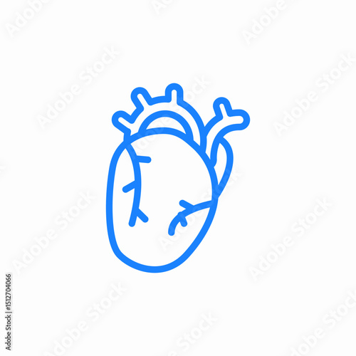 human heart organ icon sign vector