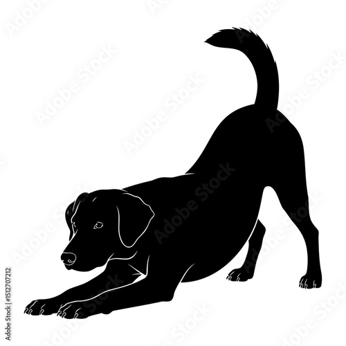 Playful black dog silhouette in a classic play bow stretching pose