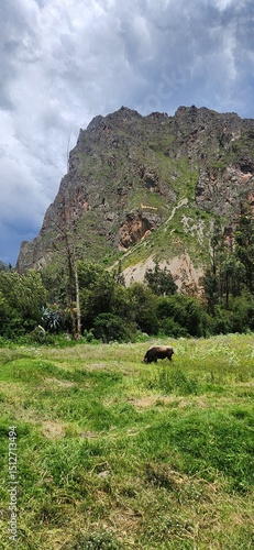 peru