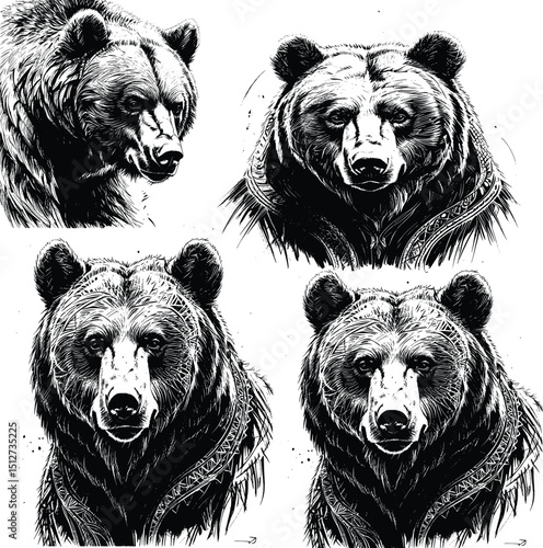 Illustration of a bear on a white background