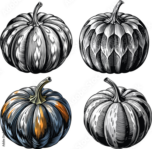 Four Detailed Hand-Drawn Pumpkins