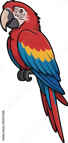 Cute cartoon a illustrator vector Macaw