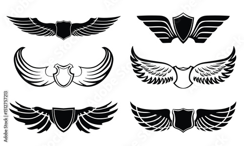 Vector wing set illustration with flying bird and angel feather design