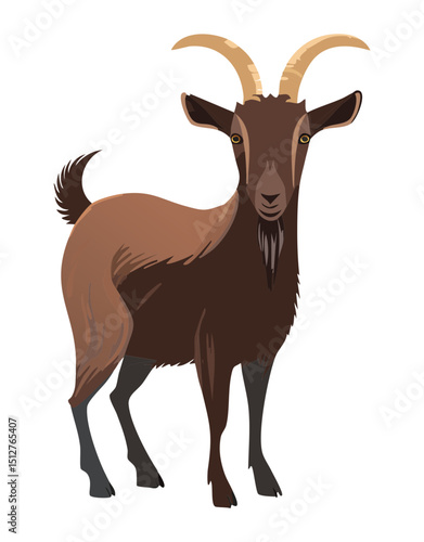 Dark Brown Goat with Long Beard