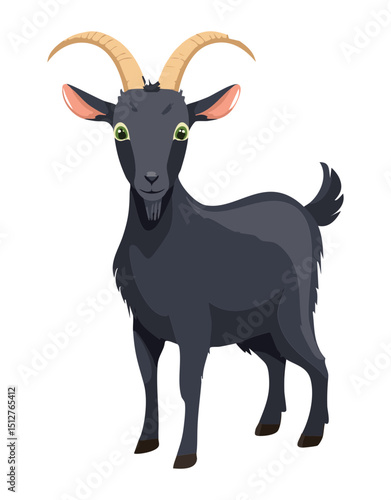 Farm Goat