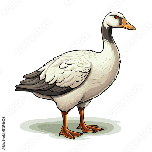 Professional Vector Illustration of a Goose Domestic Farm Animal Character