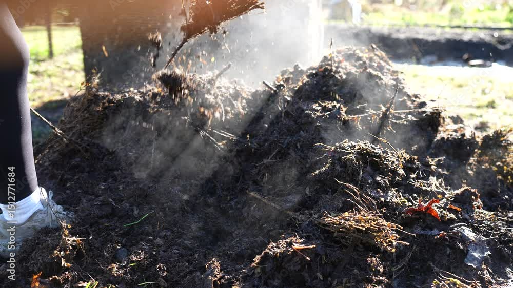 turning a compost pile in a community garden. compost full of microorganisms. sustainable regenerative agriculture with a soil sample turning a compost pile in a community garden. compost full of microorganisms. sustainable regenerative agriculture with a soil sample