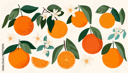 Hand-Drawn Orange Fruit Illustrations Set of Citrus with Blossoms and Leaves