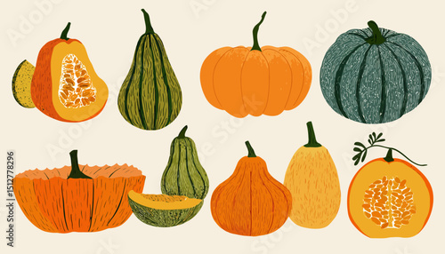 Hand-Drawn Autumn Pumpkin Collection Illustrations of Various Gourds and Squash Varieties