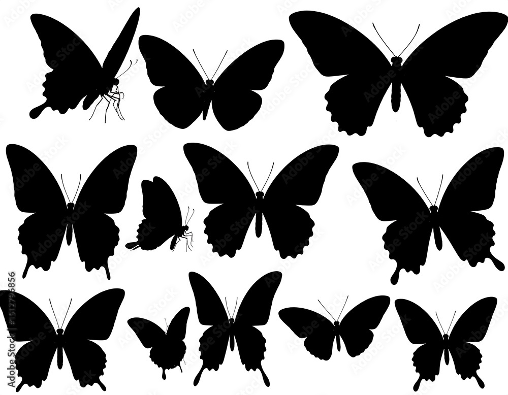 Fototapeta premium Silhouettes of various butterflies
