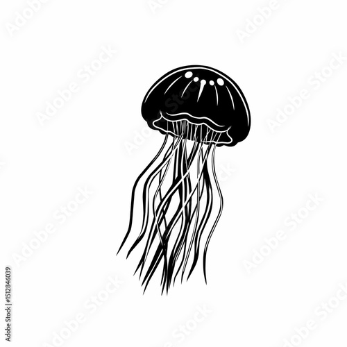 jellyfish vector ilustration 