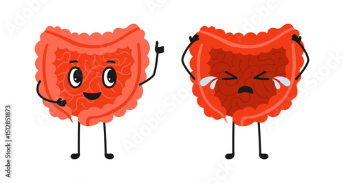Two intestine healthy and unhealthy cartoon childish illustration. Happy small and large intestine giving thumbs up and sad sick character. Check health digestive organ. Vector medical comic poster
