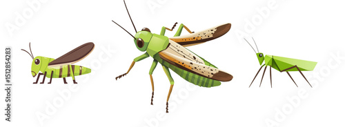 Colorful grasshoppers and crickets various sizes, showcasing their vibrant green colors and unique features, evoke sense
