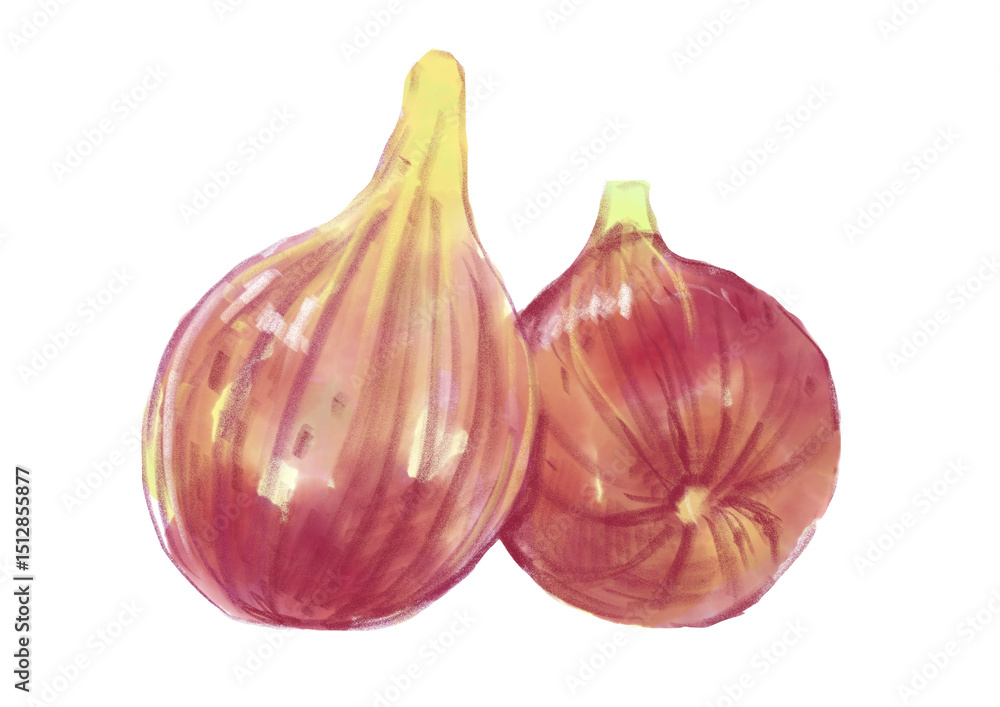 Obraz premium 新鮮採れたてで美味しそうなイチヂクの水彩イラスト(透過PNG)