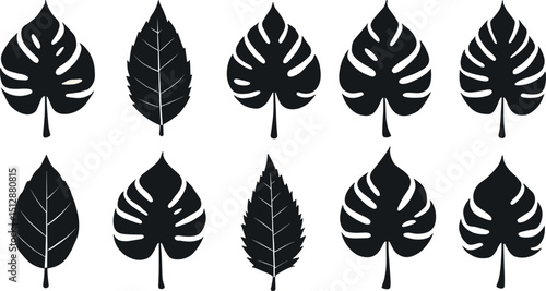 Set of monstera leaf silhouette vector clip arts isolated on transparent background, perfect for tropical designs, botanical projects, nature art, decor, and summer themes.