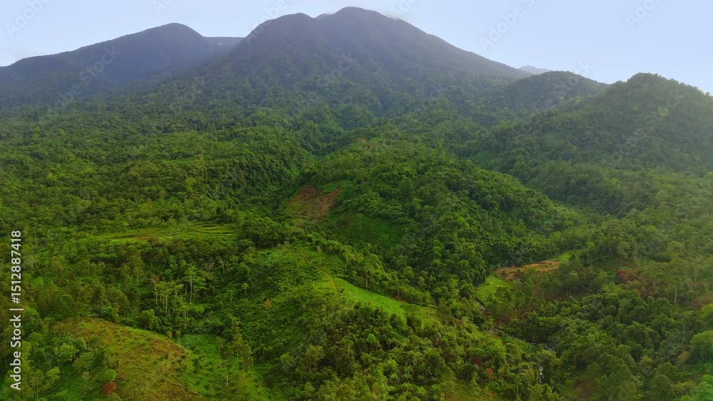 custom made wallpaper toronto digitalBeautiful morning view indonesia panorama landscape paddy fields with beauty color and sky natural light