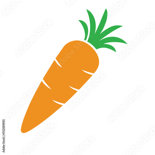 carrots vector illustration