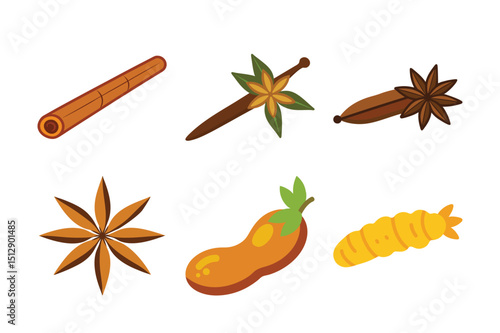 Fennel Seeds, Nutmeg, White Sesame, and Cardamom - Assorted Aromatic Spices on White Background