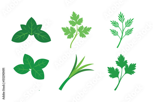 Fresh Herbs Collection: Basil, Coriander, Dill, Lemongrass, Kaffir Lime Leaves, and Parsley

