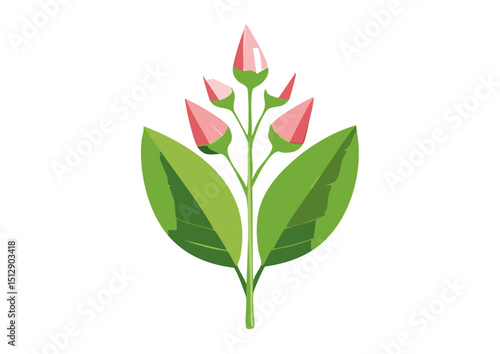  beauty continue to inspire and captivate us, reminding us of the intricate and interconnected web of life on Earth.  As we continue to explore the fascinating world of flowers