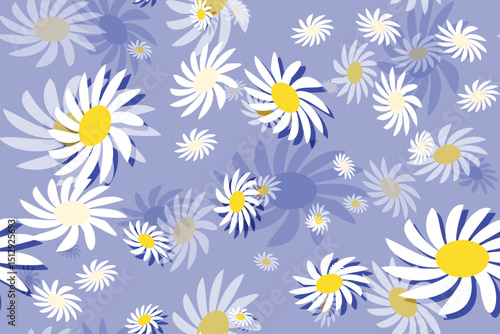 Seamless floral pattern with camomile flowers, a beautiful daisy illustration for spring and summer nature designs