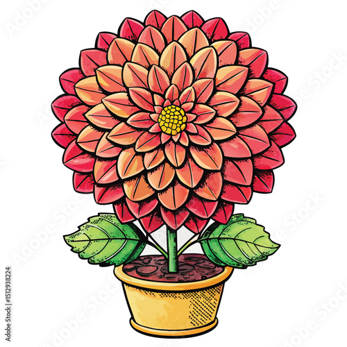 beautiful dahlia flower vector 
