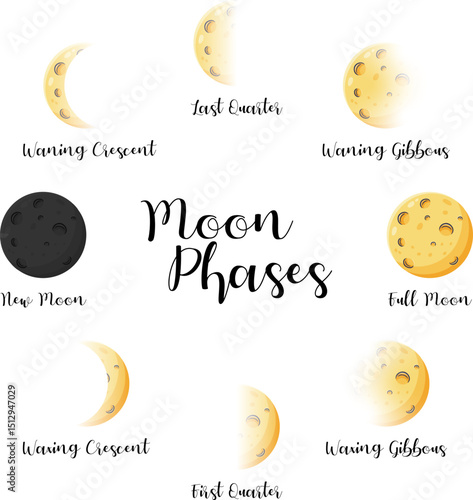 Moon phase chart, detailed illustration showcasing eight lunar phases from new moon to full moon, representing celestial cycles and astronomy