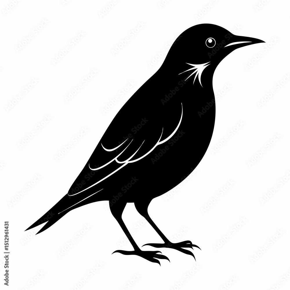 Obraz premium crow on a white background