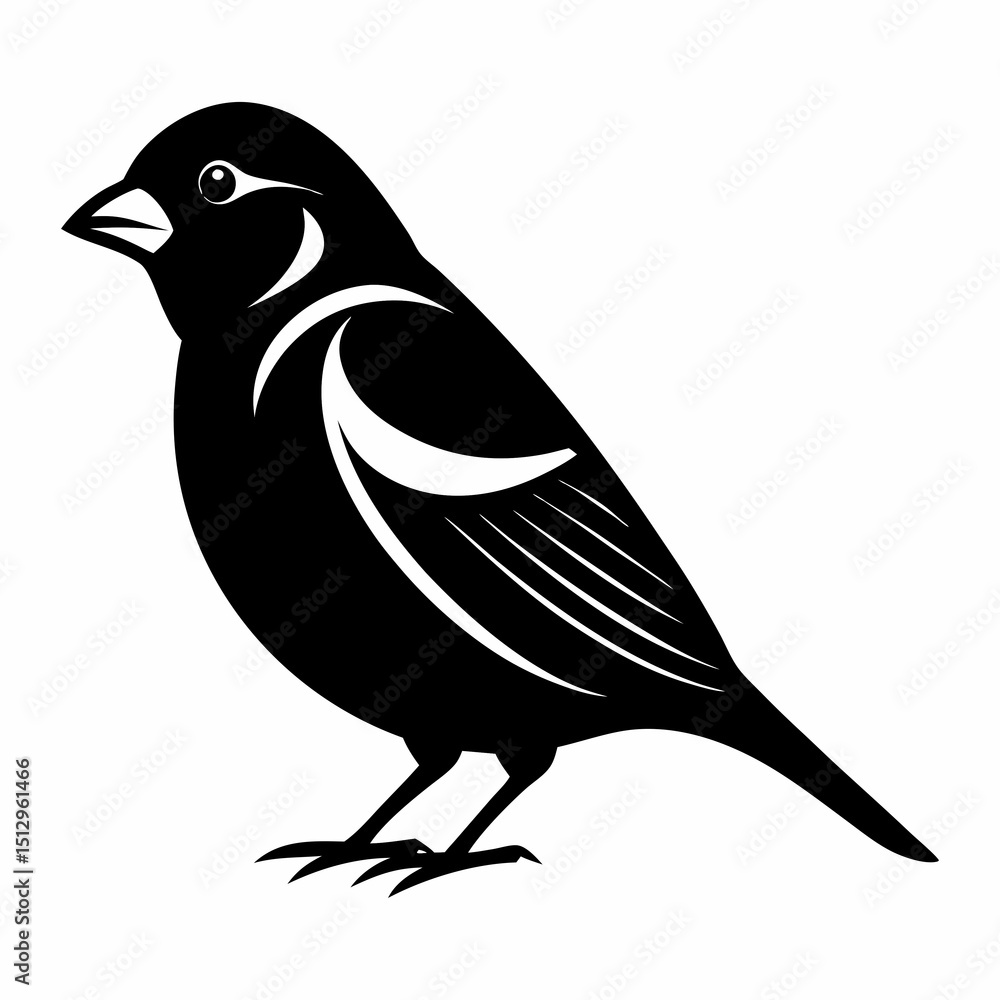 Fototapeta premium vector illustration of a bird