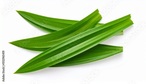 Wallpaper Mural Fresh pandan leaves isolated on white background  Torontodigital.ca