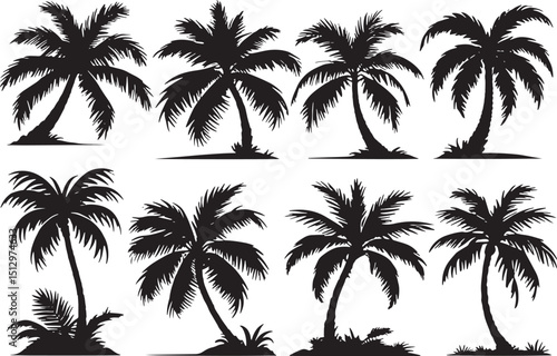 vector illustration of palm trees