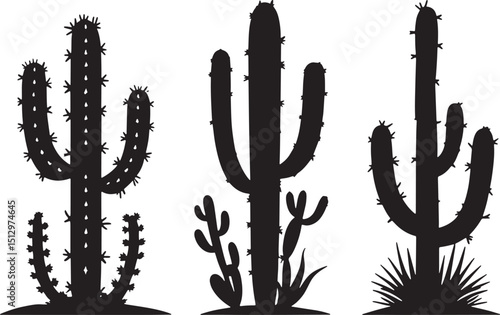 cactus vector illustration